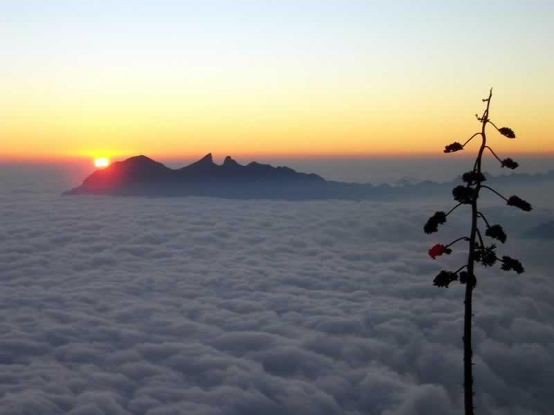 Monterrey de mis amores.jpg